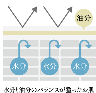 水分と油分のバランスが整ったお肌