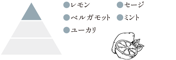 レモン、ベルガモット、ユーカリ、セージ、ミント