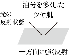 油分を多くしたツヤ肌（光の反射状態：一方向に強く反射）
