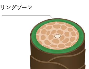 リングゾーンイメージ