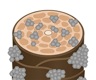 金属イオン除去と有効成分浸透のイメージ
