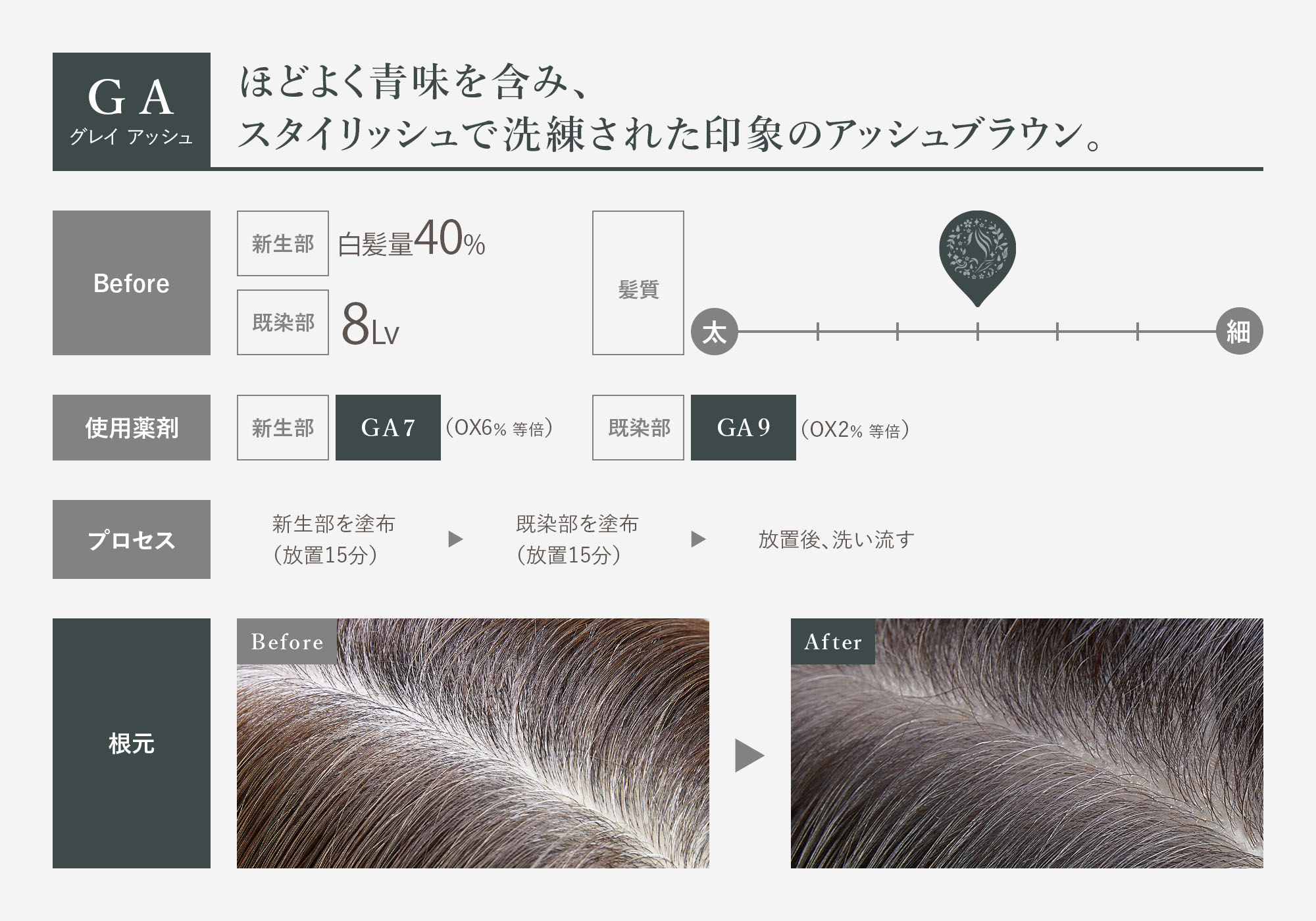 GA グレイアッシュ ほどよく青味を含み、スタイリッシュで洗礼された印象のアッシュブラウン。