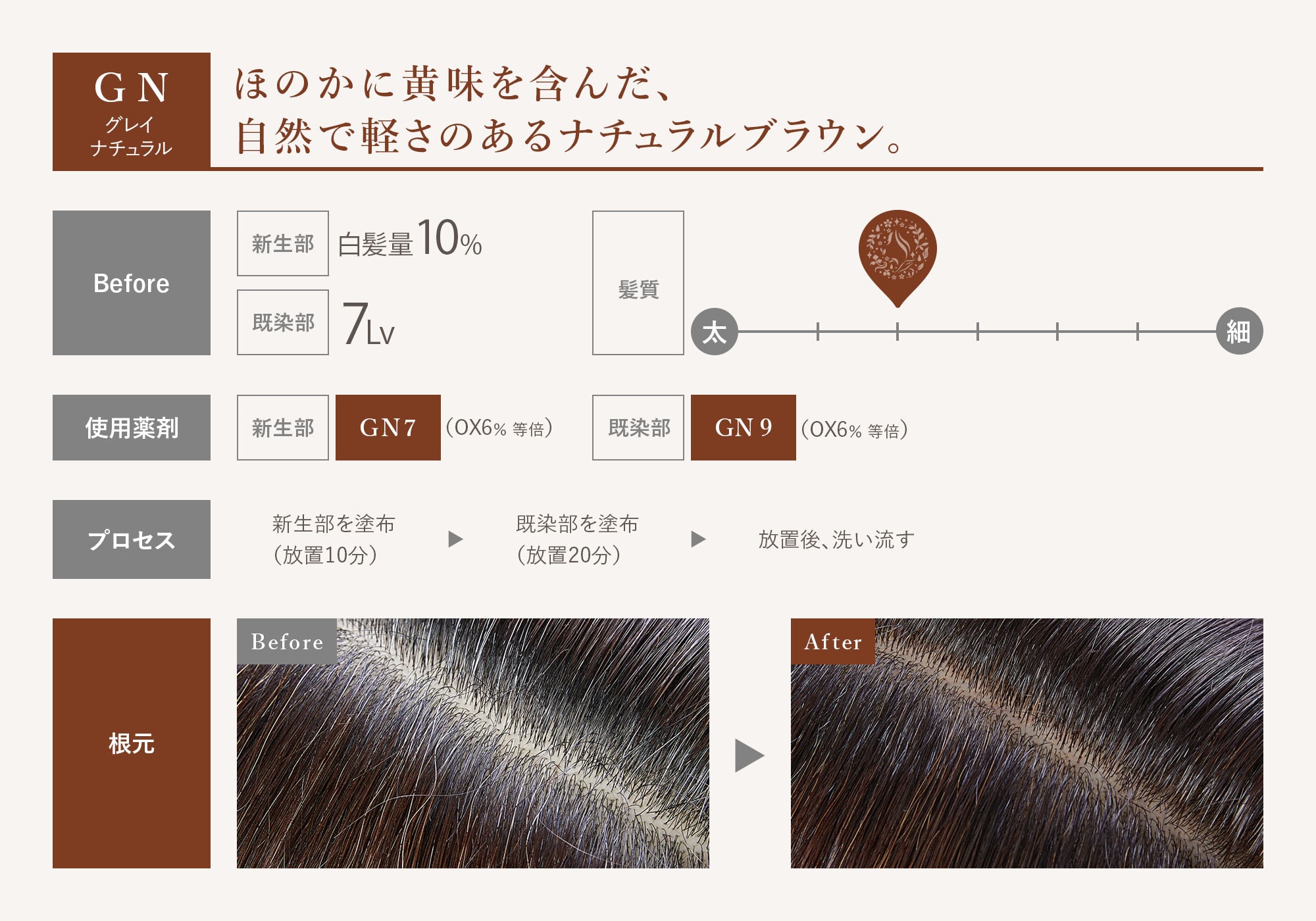 GN グレイナチュラル ほのかに黄味を含んだ、自然で軽さのあるナチュラルブラウン。