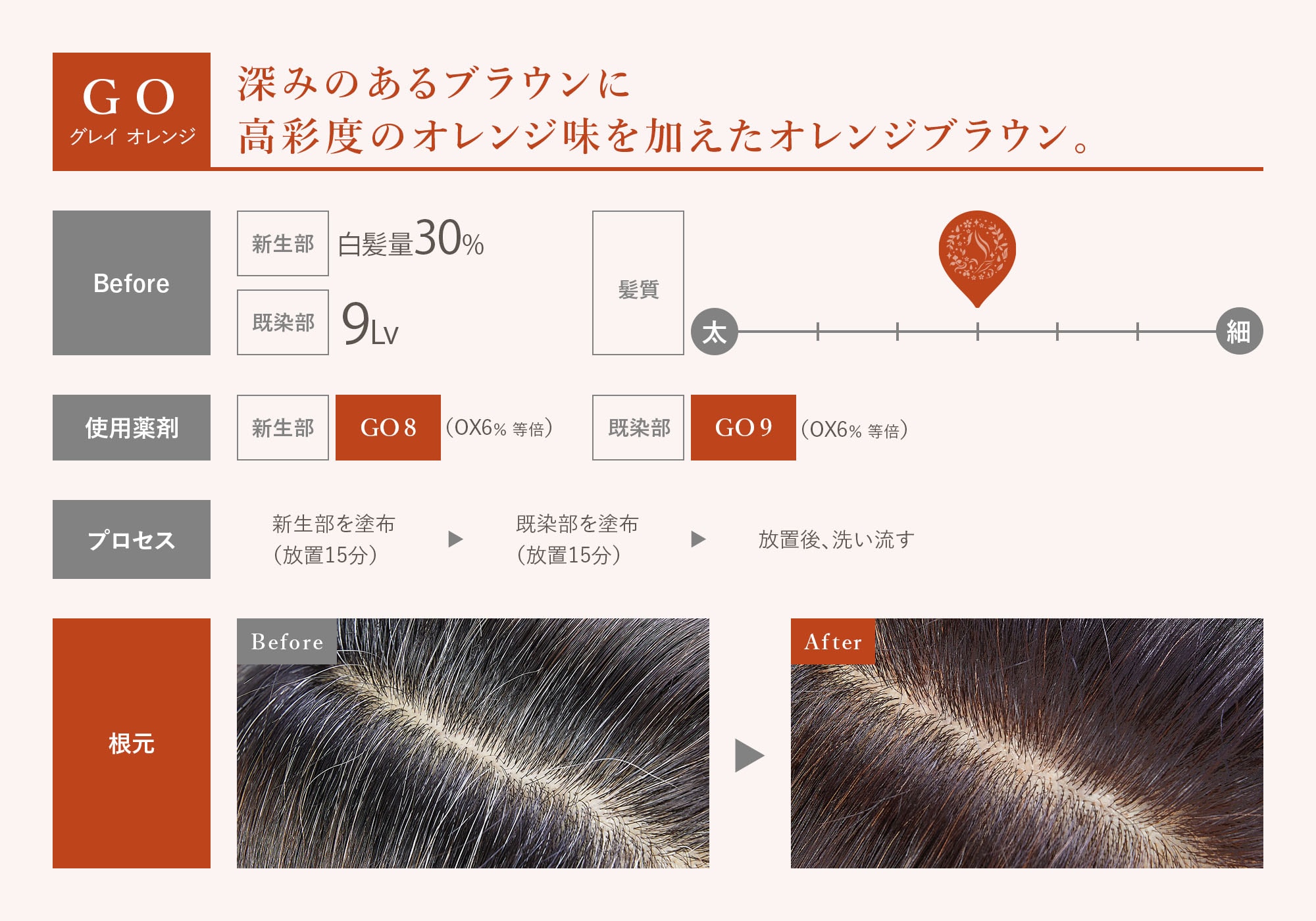 GO グレイオレンジ 深みのあるブラウンに高彩度のオレンジ味を加えたオレンジブラウン。