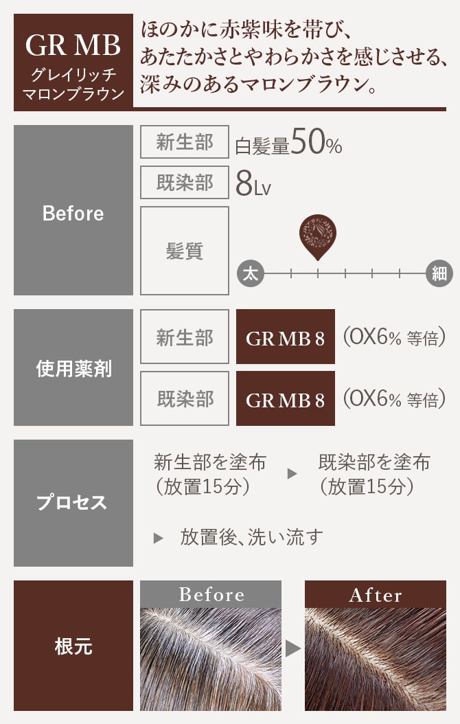 海外ブランド  GRAY COLOR（グレイカラー）｜PROSTEP（プロステップ）｜hoyu カラーリング・白髪染め