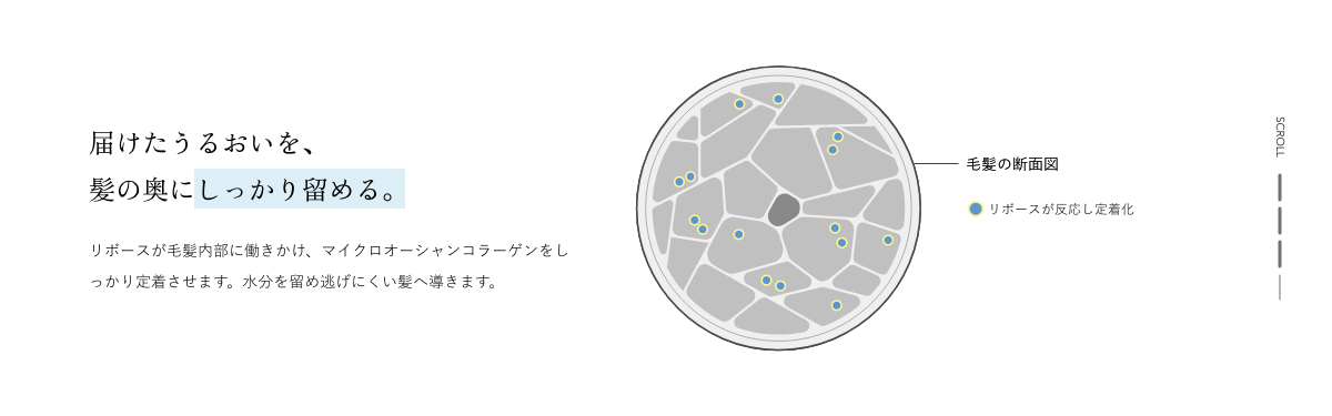 Hydro Fusion Link System