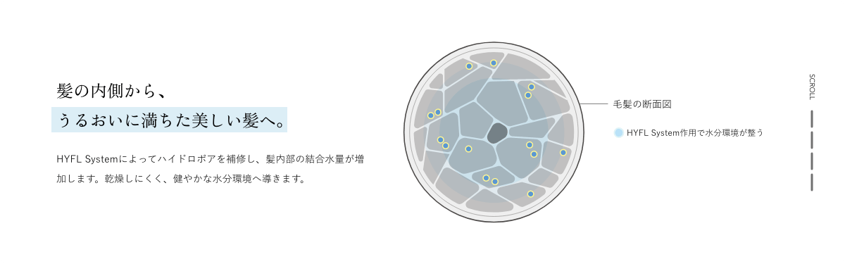 Hydro Fusion Link System