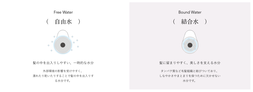 美しい髪の秘密は、“結合水”にある。