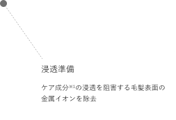 プレシャンプー