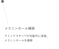 プライマーミスト